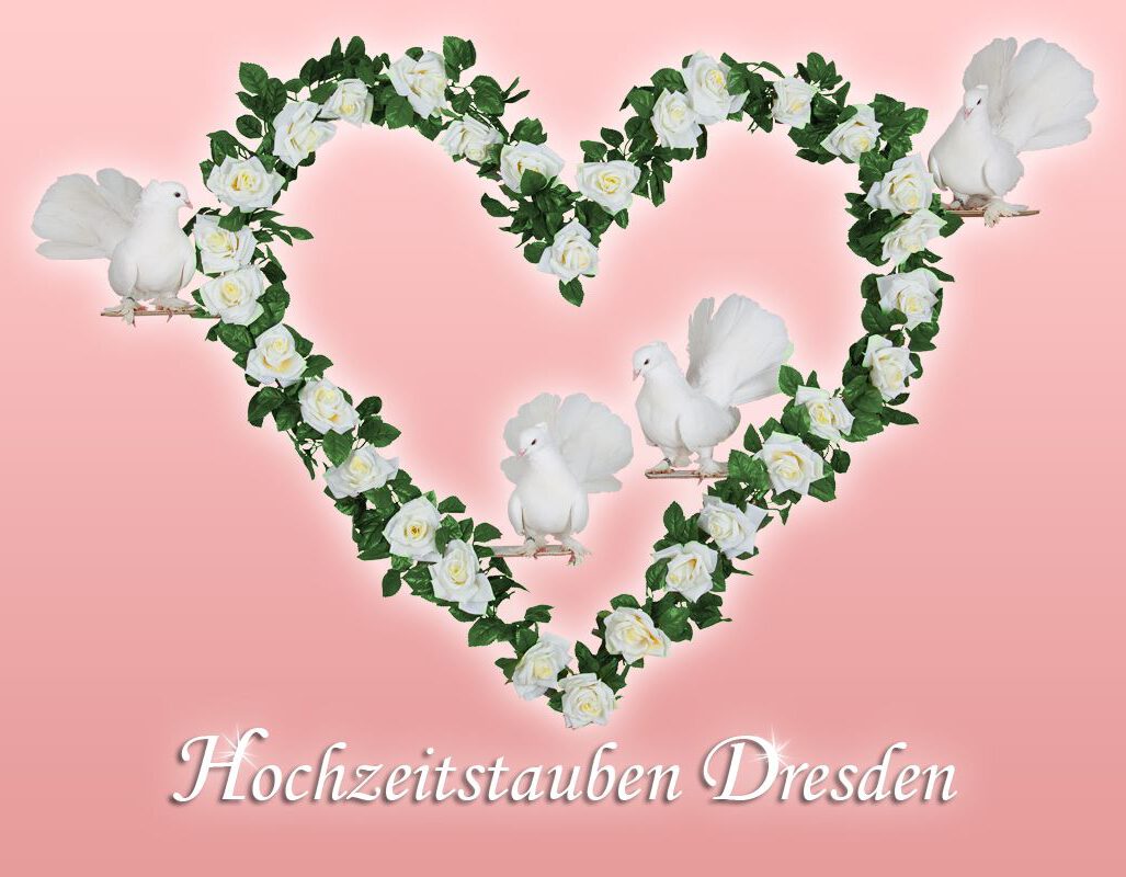 Hochzeitstauben Dresden und Umgebung – unser Logo